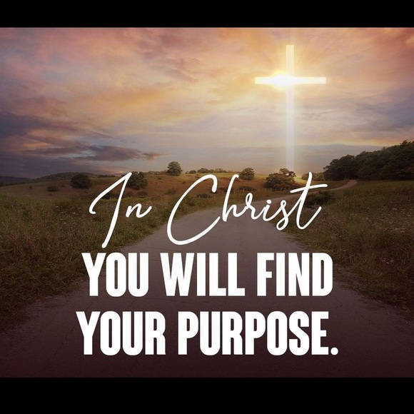 Meet your Posher, Britty - Picture 4 of 6